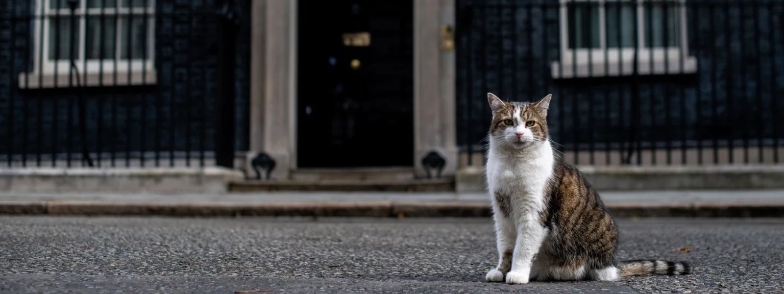 Six PMs Down… Is Larry About to Welcome His 7th?